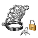 Master Series Asylum 4 Ring Locking Chastity Cage with keys and lock, designed for secure chastity play.