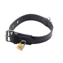 Strict Leather Luxury Locking Collar with metal hardware and padlock for secure power exchange play.