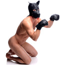Strict Leather Padded Puppy Mitts in use by a person in a dog mask and padded gloves, enhancing puppy play scenes.