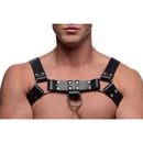 Strict Leather English Bull Dog Harness with Cock Strap showcased on a model, featuring bold leather construction and metal hardware.