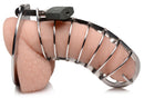 Master Series Stainless Steel Spiked Chastity Cage secured on a silicone model for demonstration.