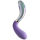 10X Pari Dual Ended Wavy Silicone and Glass Vibrator in sleek purple design with dual textures.