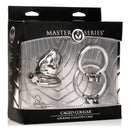 Master Series Caged Cougar Locking Chastity Cage packaged with rings and key for chastity control.