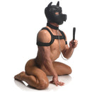 Master Series Full Pup Arsenal Puppy Play Bondage Set Black featuring a model in gear with a hood, collar, and harness.