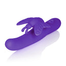 CalExotics Posh Fluttering Butterfly Vibrator Purple with slim shaft and fluttering butterfly stimulator for pleasure.