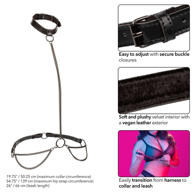 Euphoria Plus Size Chain Halter Collar & Leash with adjustable buckle closures, velvet interior, and vegan leather exterior