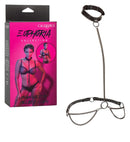 Euphoria Collection Chain Halter Collar & Leash - Premium Multi-Chain Harness in packaging and displayed separately.