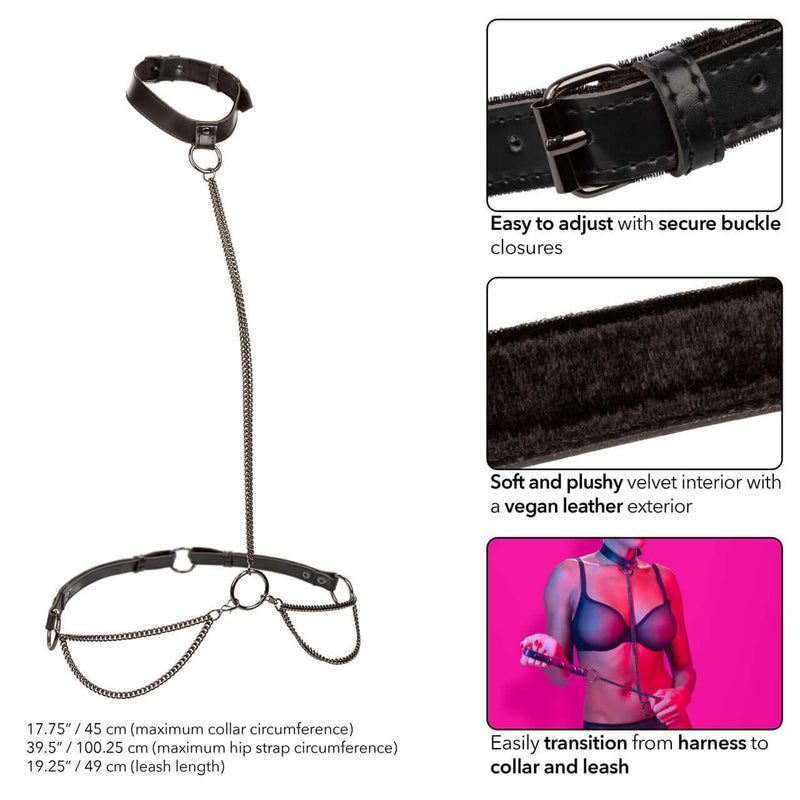 Premium multi-chain halter collar and leash with secure buckle closures, vegan leather exterior, and soft velvet interior for elegant control.