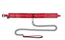 EX'S & OH'S COLLAR & LEASH-0