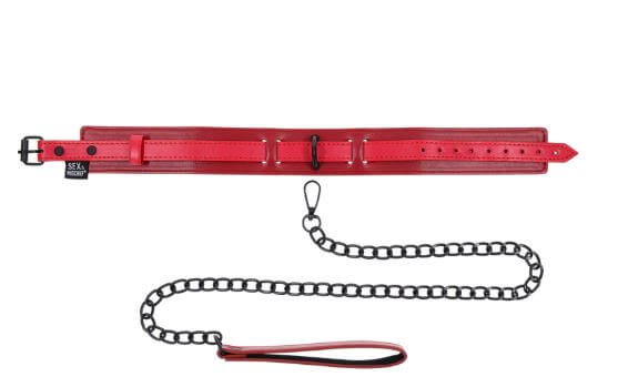 EX'S & OH'S COLLAR & LEASH-0
