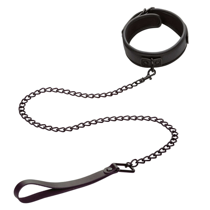 NOCTURNAL COLLAR & LEASH-1