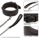 NOCTURNAL COLLAR & LEASH-2