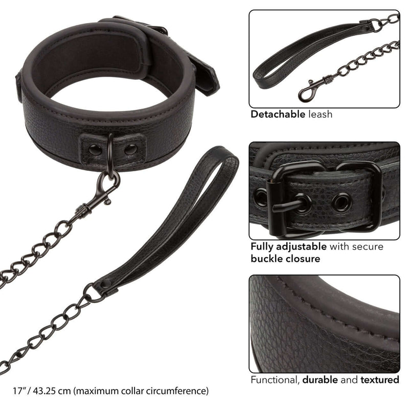NOCTURNAL COLLAR & LEASH-2
