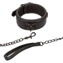NOCTURNAL COLLAR & LEASH-3