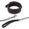 NOCTURNAL COLLAR & LEASH-3