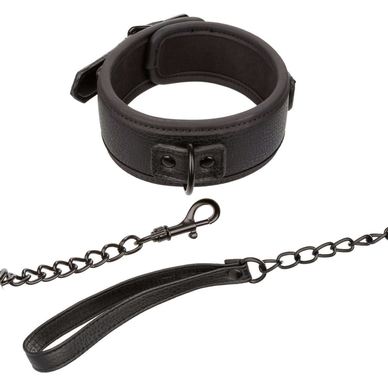 NOCTURNAL COLLAR & LEASH-3