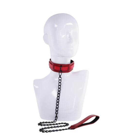 EX'S & OH'S COLLAR & LEASH-3