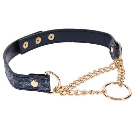 Stylish animal print collar with gold hardware and chain, featuring an elegant design for fashion or playful charm.