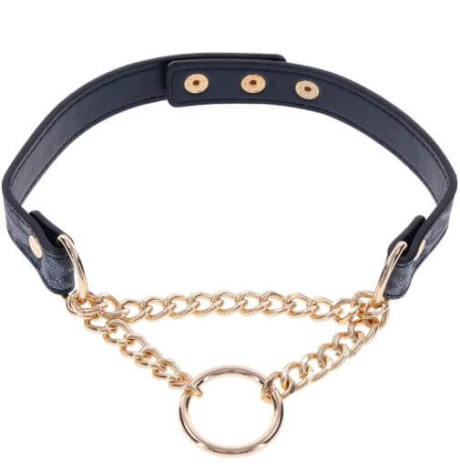 Stylish animal print collar with gold hardware and ring for versatility and playful charm.