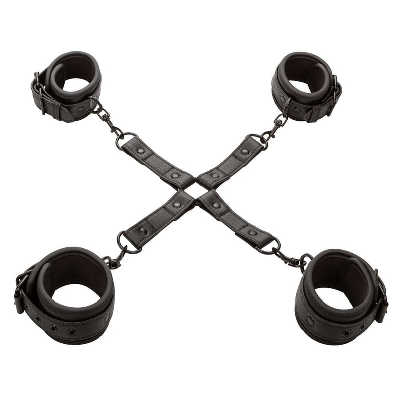 NOCTURNAL HOG TIE-1