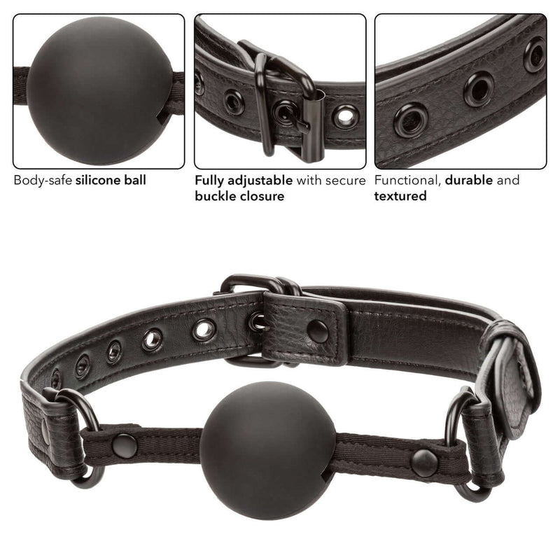 NOCTURNAL BALLGAG-2