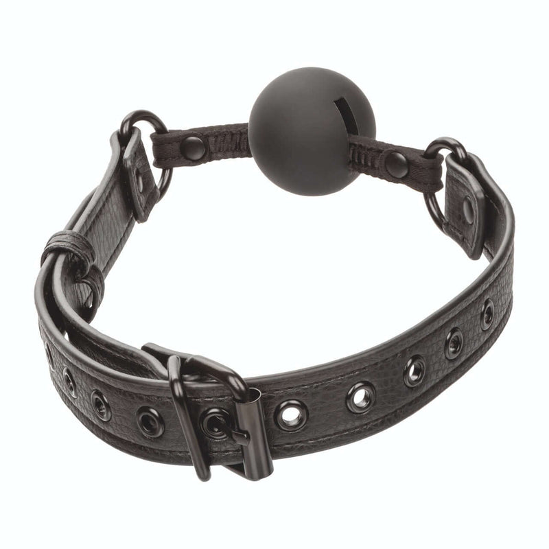 NOCTURNAL BALLGAG-4