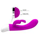 Pretty Love Freda Silicone Rabbit Vibrator with on/off and vibration controls.