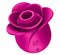 SATISFYER PRO 2 MODERN BLOSSOM (NET)-0