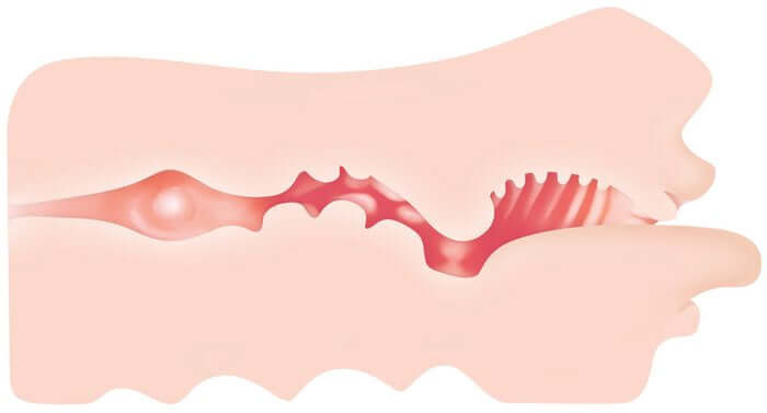 ZERO TOLERANCE REAL MOUTH STROKER-7
