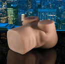 Zero Tolerance Rock My World Thrusting Stroker Pussy & Ass displayed against a city skyline background.
