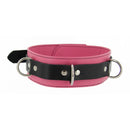Strict Leather Deluxe Locking Collar Pink and Black with silver hardware and striking color combination.