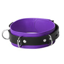 Strict Leather Deluxe Locking Collar Purple and Black with bold purple leather and black detailing, featuring metal rings.