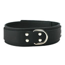 Strict Leather Standard Lined Collar made from durable black leather with silver stud details.
