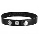 Strict Leather ID Collar Slut in Black featuring steel snaps and bold leather design for bondage and role play.