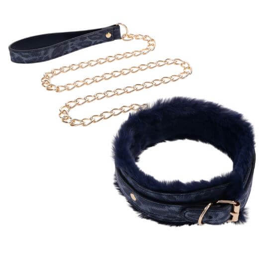 Luxurious cougar fur collar with plush royal blue faux lining and gold-plated leash for stylish BDSM adventures.