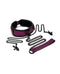Dragon's Lair Collar, Leash, and Nipple Clips BDSM Set with Dragon-Inspired Texture in Pink and Black