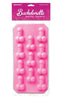 Pipedream Products Bachelorette Party Favors Silicone Ice Tray at $7.99