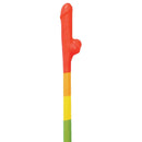 HOTT Products RAINBOW PECKER STRAWS 10PK at $5.99