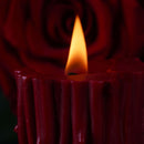 UPKO UPKO Burning Thorn Low Temperature Wax Candle at $24.99