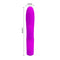 Pretty Love Pretty Love Conrad 12 Functions Vibration Double Motors Silicone Rabbit Vibrator at $44.99