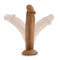 Blush Novelties Dr. Skin Dr. Small 6 inches Dildo Mocha Tan Realistic Dildo at $11.99