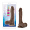 Blush Novelties Au Naturel Mister Perfect Chocolate Brown Dildo with packaging showing realistic design and Sensa Feel technology