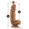 Blush Novelties Dr. Skin Silicone Dr. Samuel 7 inches Dildo with Suction Cup Mocha at $29.99