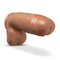 Au Naturel Huge 10 inch Mocha Realistic Dildo with Sensa Feel and Flexi Shaft technology from Blush Novelties.
