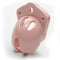 CBX Male Chastity Mini Me 1.25 inches Chasity Cage Kit Pink from CBX Male Chastity at $149.99