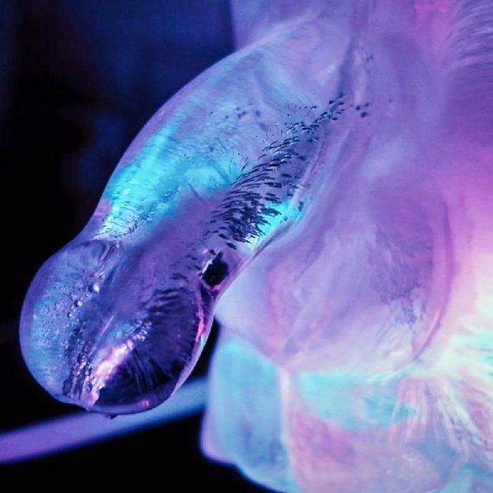 Play Wiv Me Huge Penis Ice Luge Mold: Make Your Party Unforgettable with this Easy-to-Use Ice Sculpture Mold