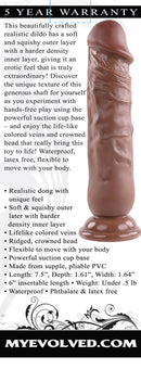 Evolved Novelties Realistic Dong 7 inches Dark Brown at $27.99