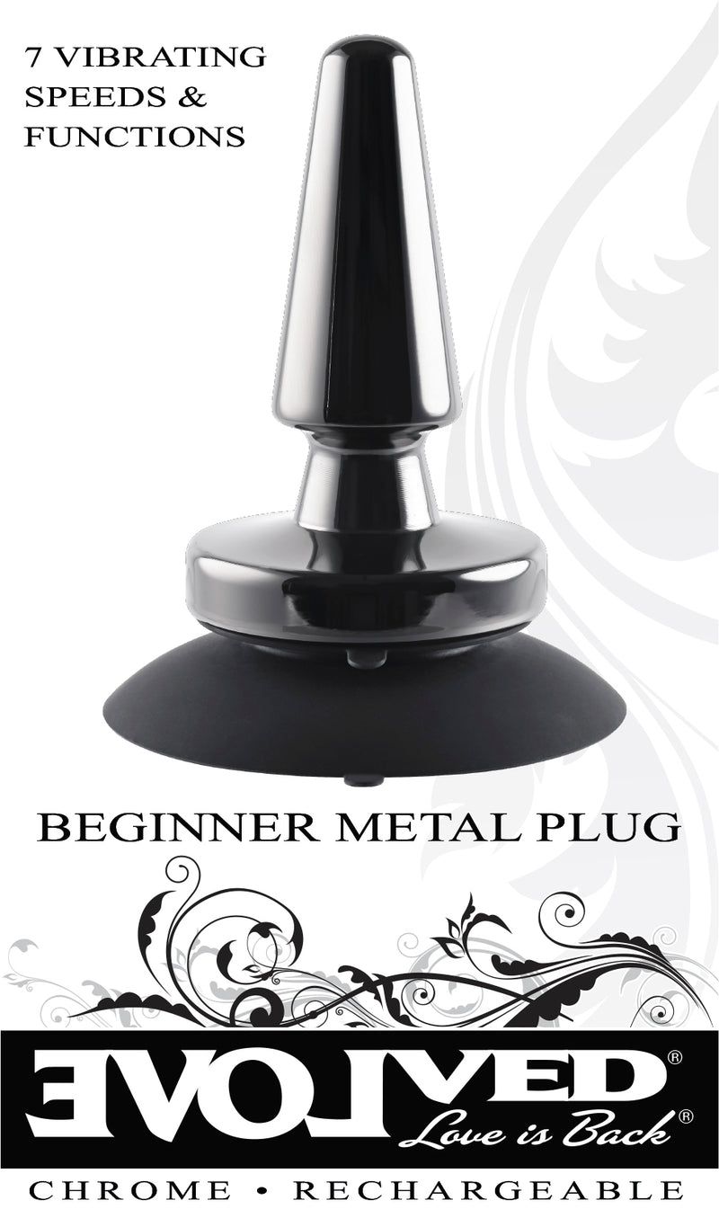 Evolved Beginner Metal Plug - Your Perfect Entry into Pleasure