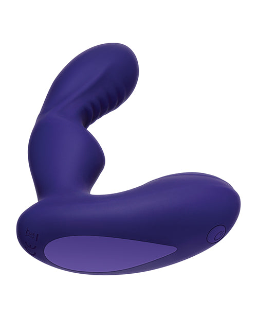 Evolved Novelties Zero Tolerance The Rocker Purple Prostate Massager at $79.99