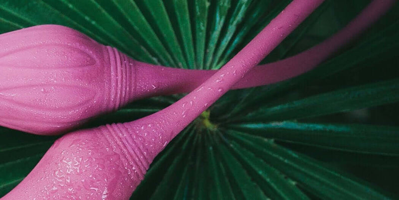 Adrien Lastic 2X double ended vibrator with remote control, showcasing pink design against green foliage.